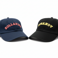 Load image into Gallery viewer, Two baseball caps, one navy with 'HOLLANDER' and one black with 'ROSANOV', on a white background.
